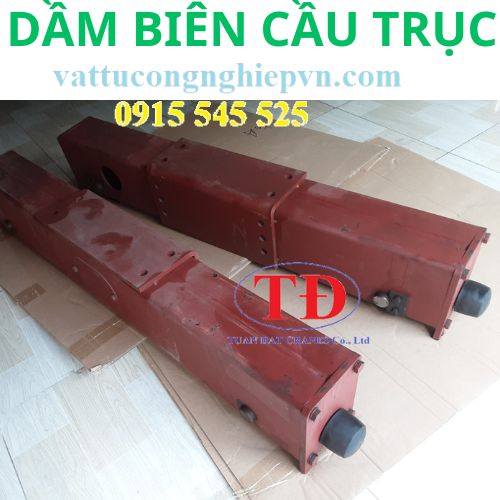 dam-bien-cau-truc